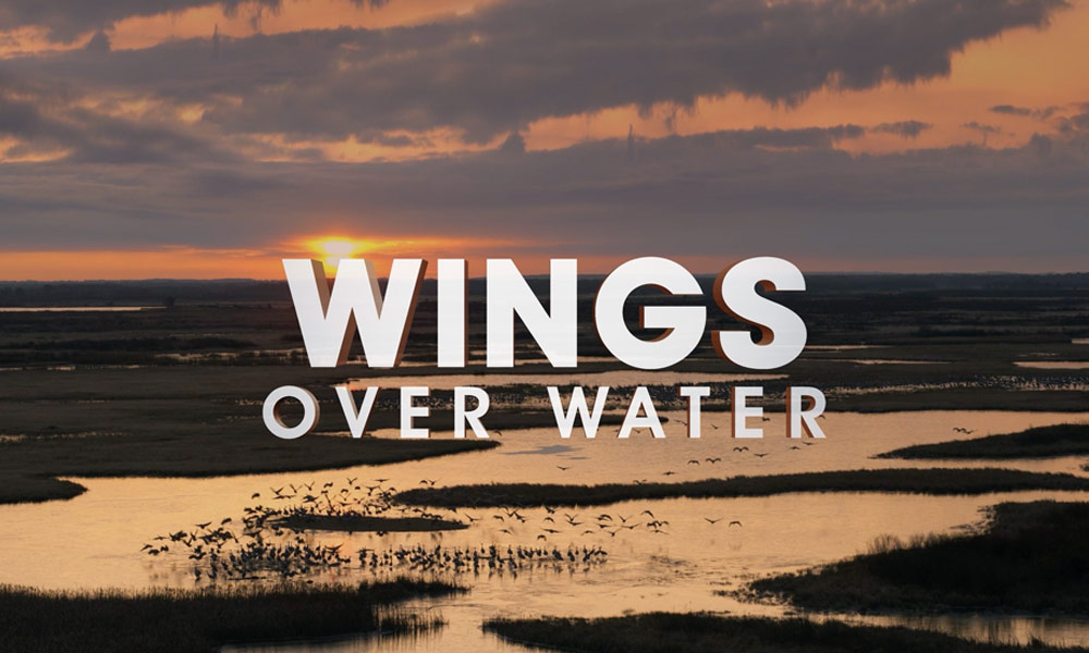 Wings Over Water film