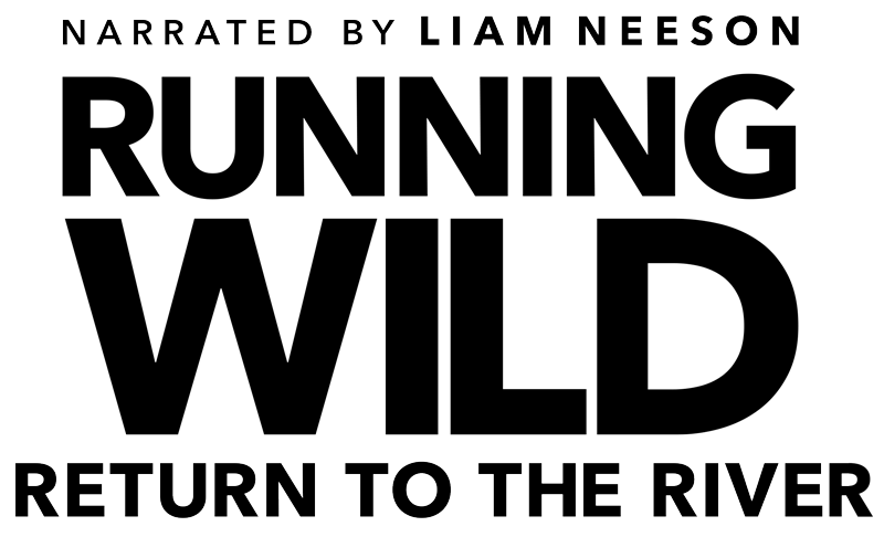Running Wild film